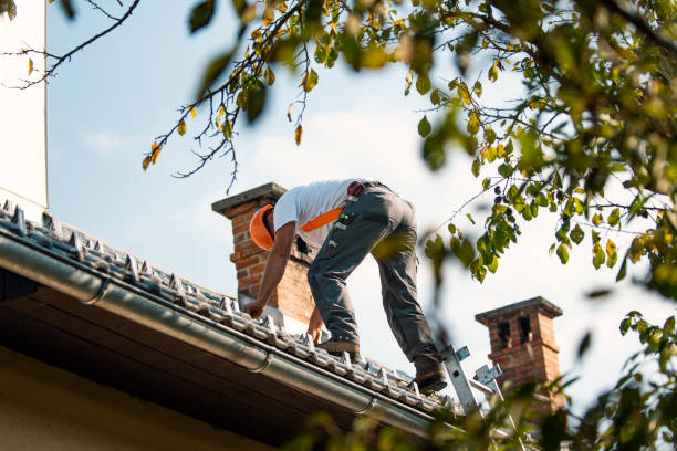 Best Sealant for Roof  in Chisago City, MN