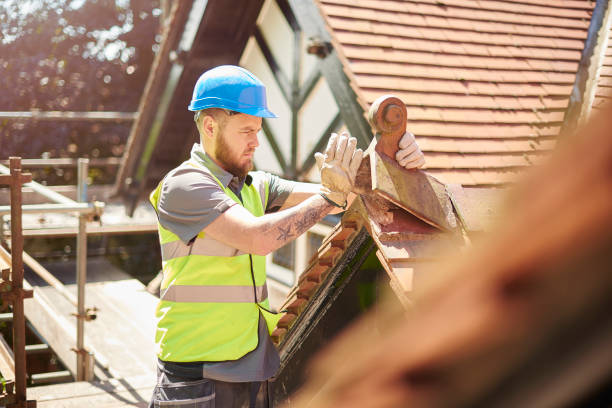 Professional Roofing Contractor in Chisago City, MN